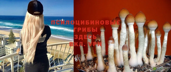 молекула духа Пересвет