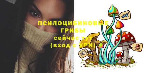 гидропоника Гусь-Хрустальный