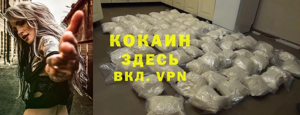 гидропоника Гусь-Хрустальный
