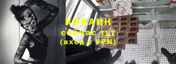 a pvp Гусев
