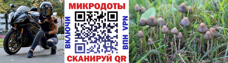даркнет сайт  Альметьевск  Псилоцибиновые грибы Psilocybe 